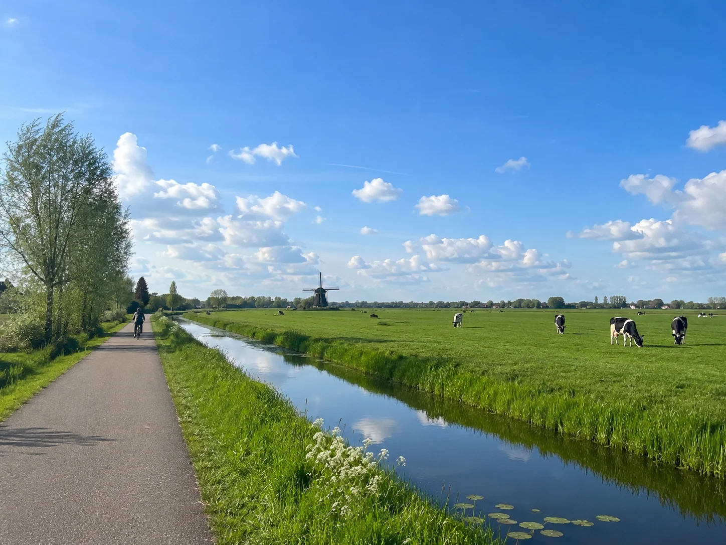 Krimpenerwaard polder landscape